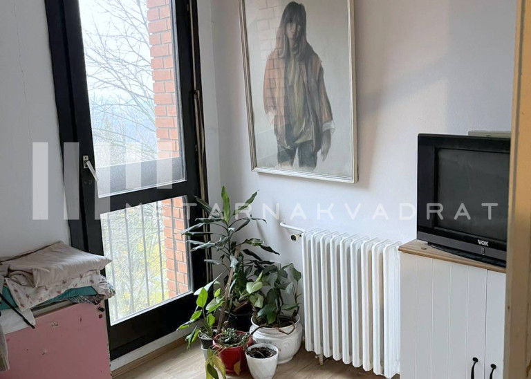 Labudovo brdo, Ljubomira Ivkovića Šuce (ID: 1257) ID#1257