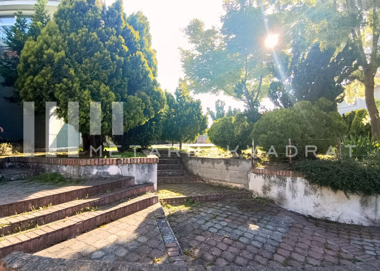 Beograd, Višnjica, Draginje Adamović (ID: 1181) ID#1181