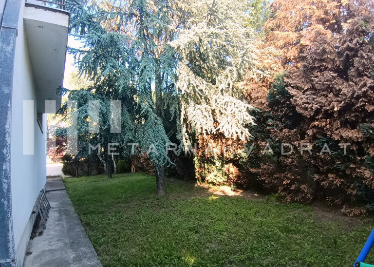 Beograd, Višnjica, Draginje Adamović (ID: 1181) ID#1181