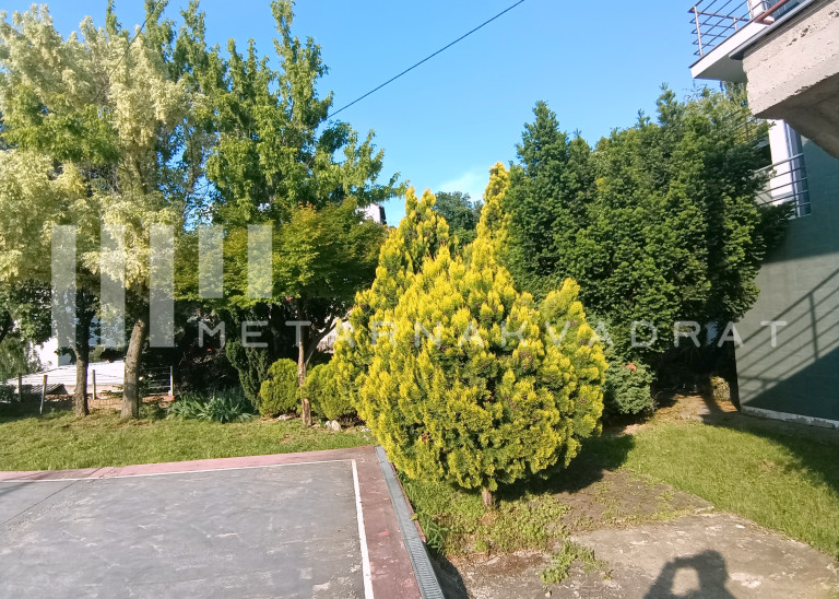 Beograd
                                                                                                    , Višnjica
                                                                                                    , Draginje Adamović
                                                                slika 16