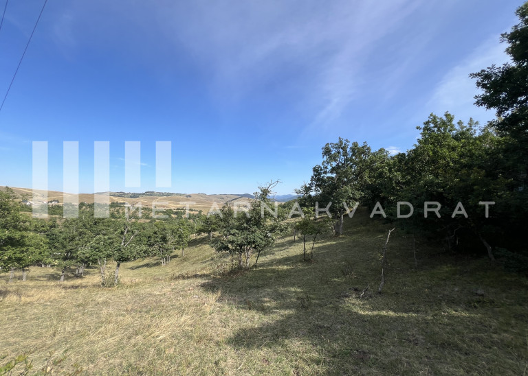 Zlatibor, Gajevi, građevinska parcela  (ID: 1227) ID#1227 Zlatibor, Gajevi, građevinska parcela  (ID: 1227) ID#1227