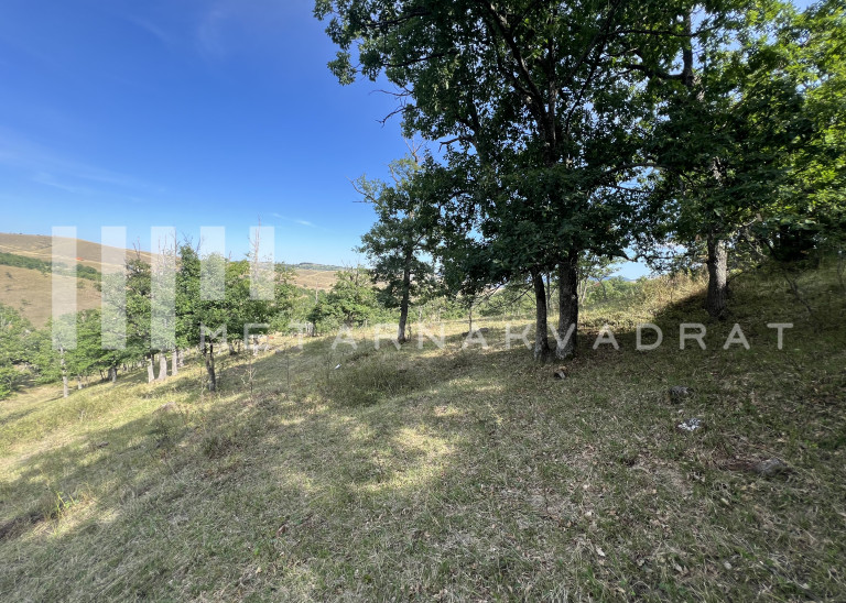 Zlatibor, Gajevi, građevinska parcela  (ID: 1227) ID#1227 Zlatibor, Gajevi, građevinska parcela  (ID: 1227) ID#1227