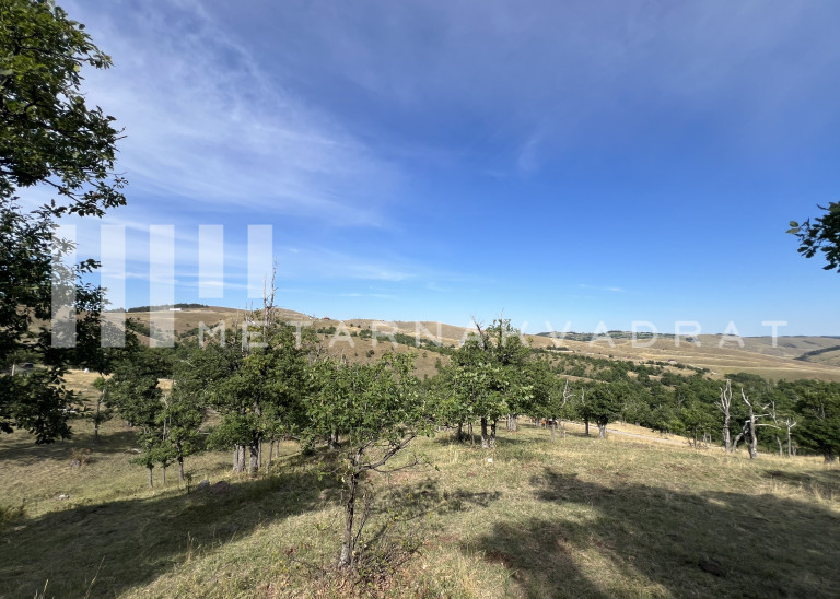 Zlatibor, Gajevi, građevinska parcela  (ID: 1227) ID#1227 Zlatibor, Gajevi, građevinska parcela  (ID: 1227) ID#1227