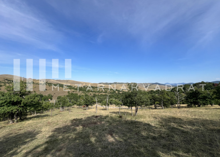  Zlatibor, Gajevi