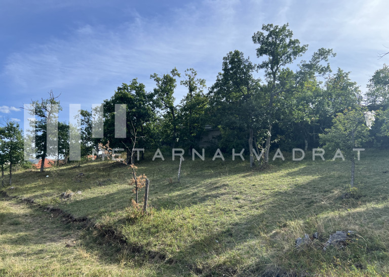 Zlatibor, Gajevi, građevinska parcela  (ID: 1227) ID#1227 Zlatibor, Gajevi, građevinska parcela  (ID: 1227) ID#1227