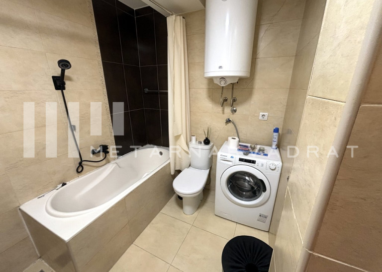 Lion, Đevđelijska, namešten (ID: 1264) ID#1264