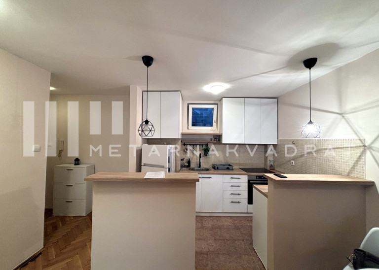 Lion, Đevđelijska, namešten (ID: 1264) ID#1264