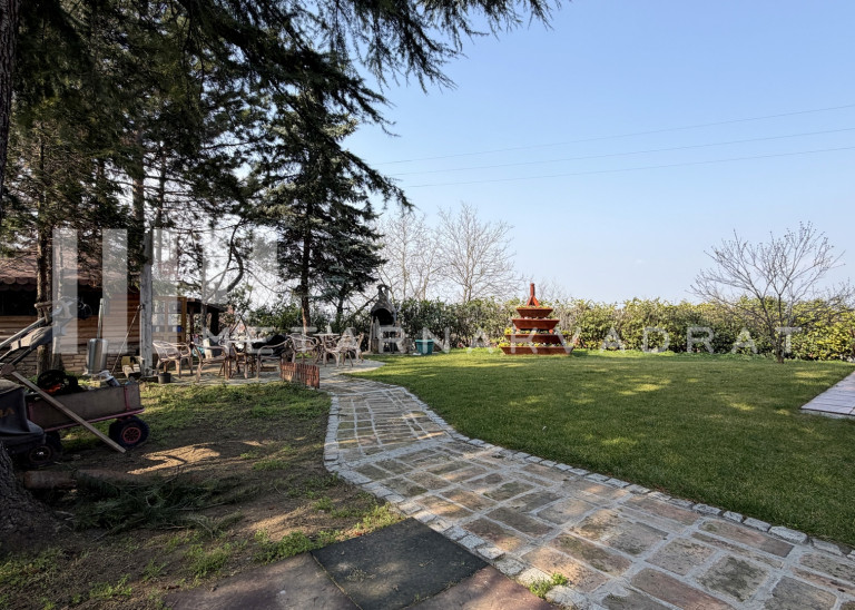 Beograd
                                                                                                    , Višnjička banja
                                                                                                    , Brane Petronijevića
                                                                slika 16