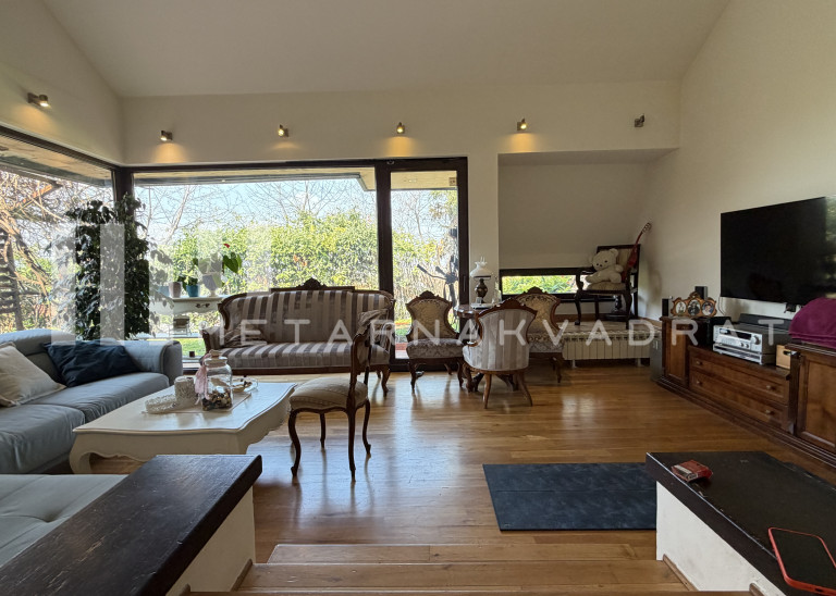  Višnjička banja, Brane Petronijevića