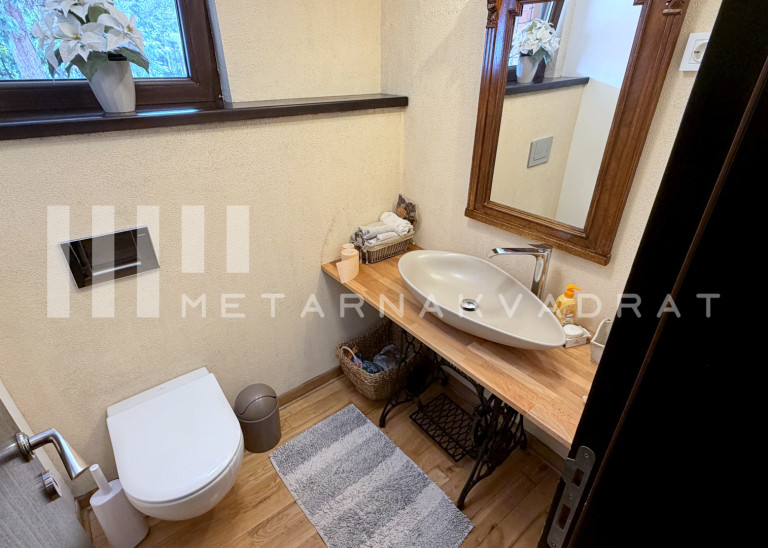 Višnjička banja, Brane Petronijevića, odlična (ID: 1287) ID#1287