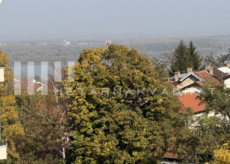 Beograd,  Severni bulevar, Ledinačka slika 12