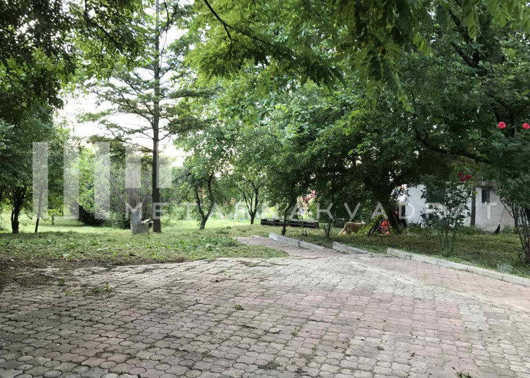  Jajinci, dr Mila Boškovića